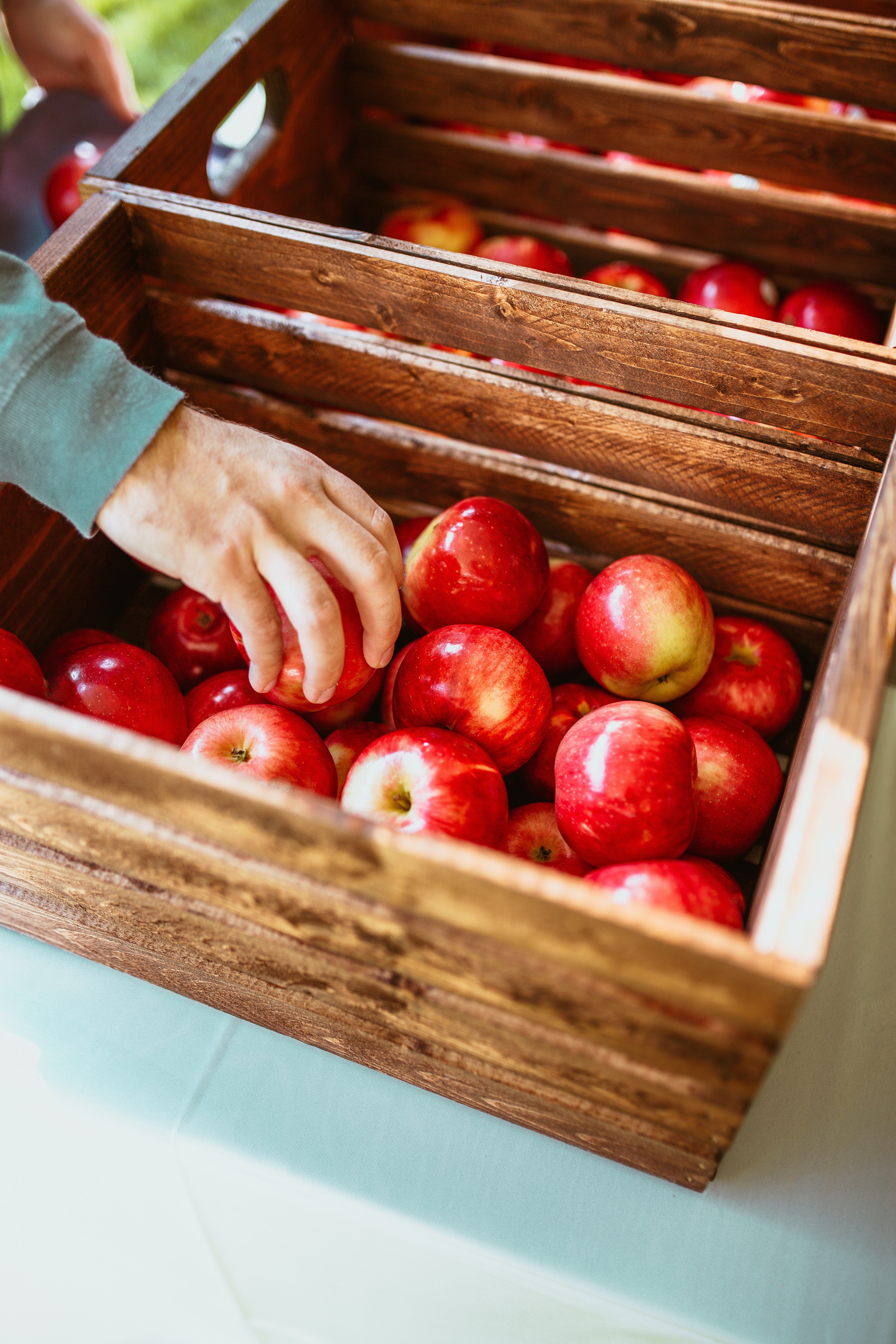 picking-apples